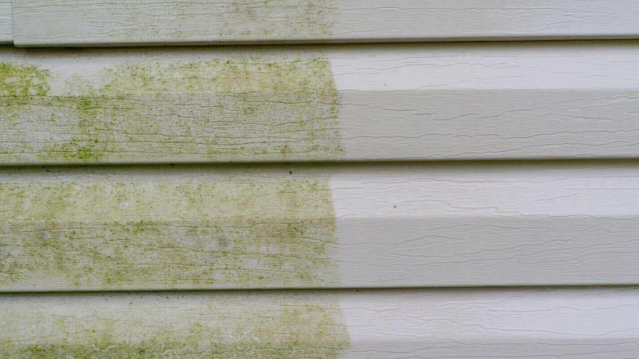 before and after photo of vinyl siding with moldalgae